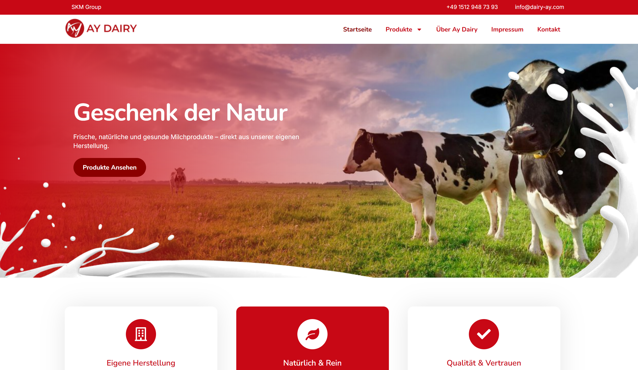 Dairy Ay - Kurumsal Web Sitesi